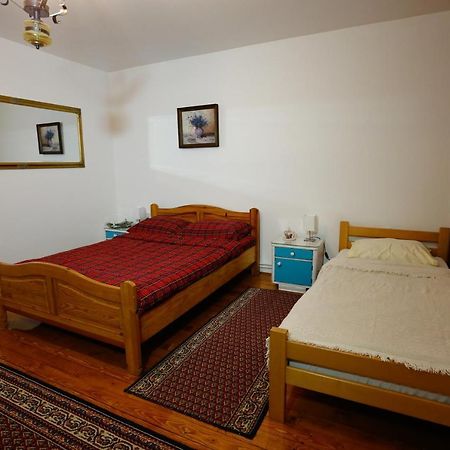 Apartman Carpe Diem Zajecar Luaran gambar